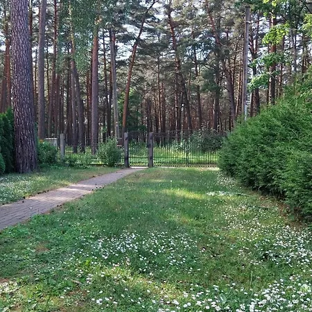 с баней
